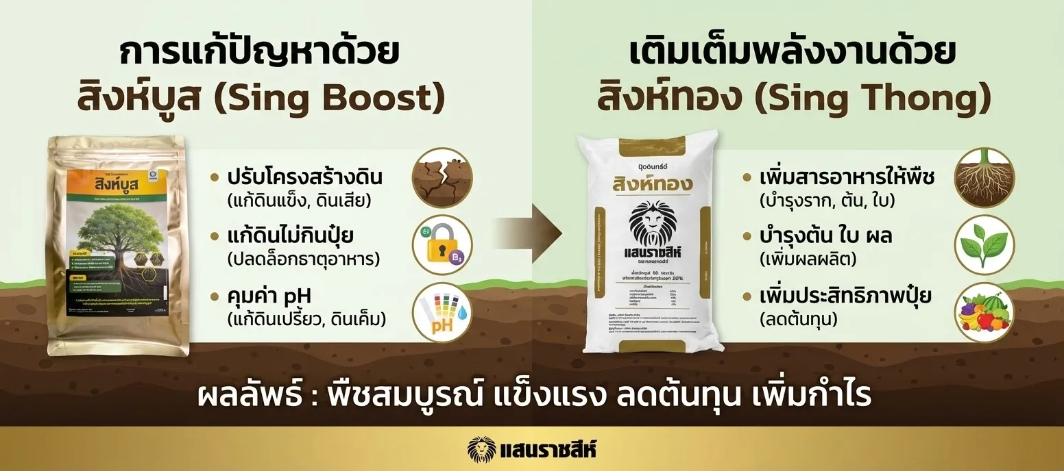 ปลดล็อก 5 ปัญหาดินเสื่อมโทรม: ฟื้นฟูดินให้มีชีวิตด้วย "สิงห์บูส & สิงห์ทอง"