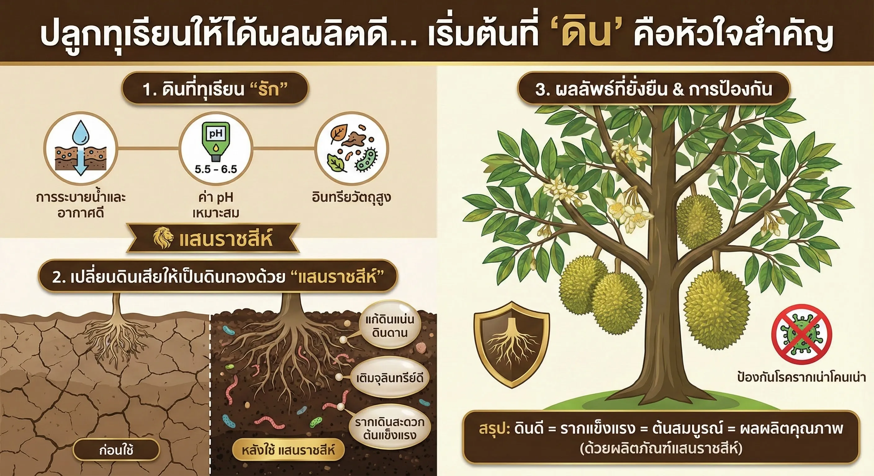 การปลูกทุเรียนให้ได้ผลผลิตดีและต้นแข็งแรงนั้น "ดิน" คือหัวใจสำคัญที่สุดครับ